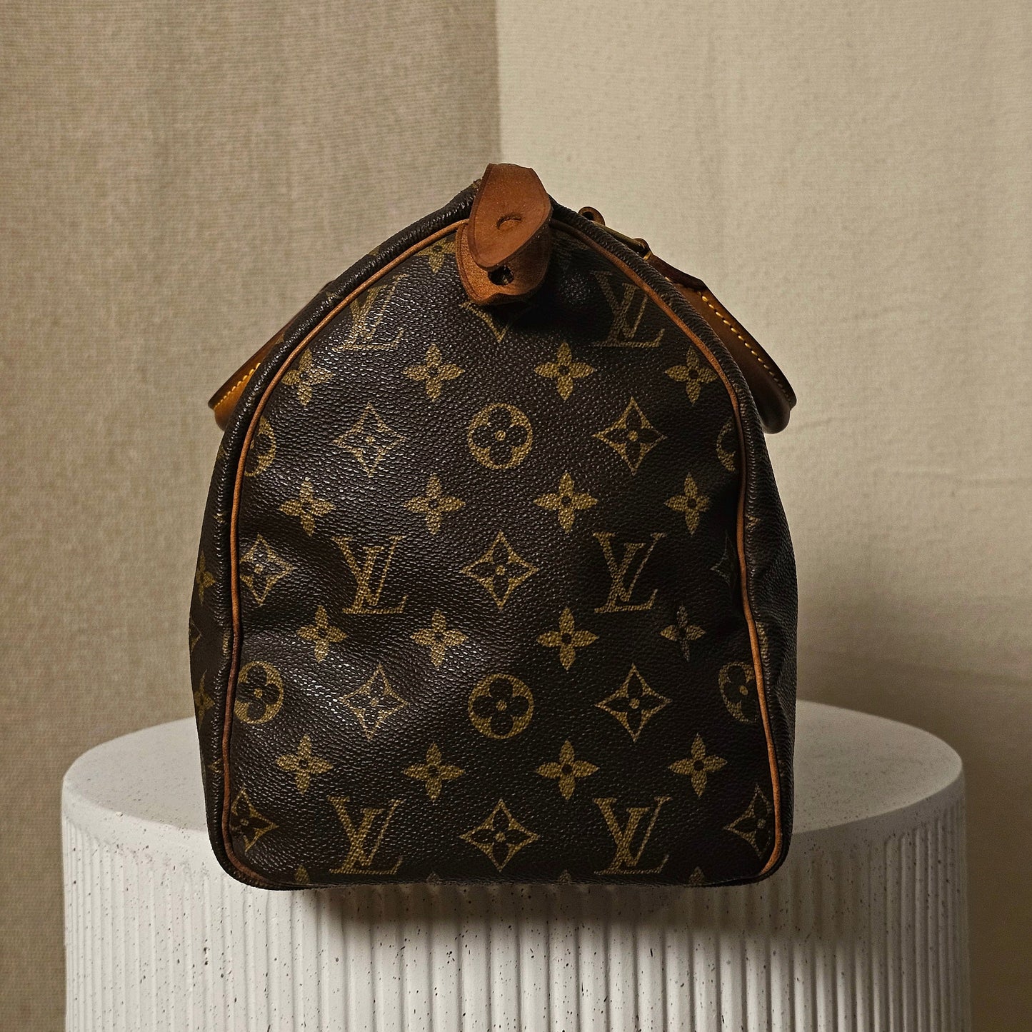 Louis Vuitton Speedy 30 Monogram