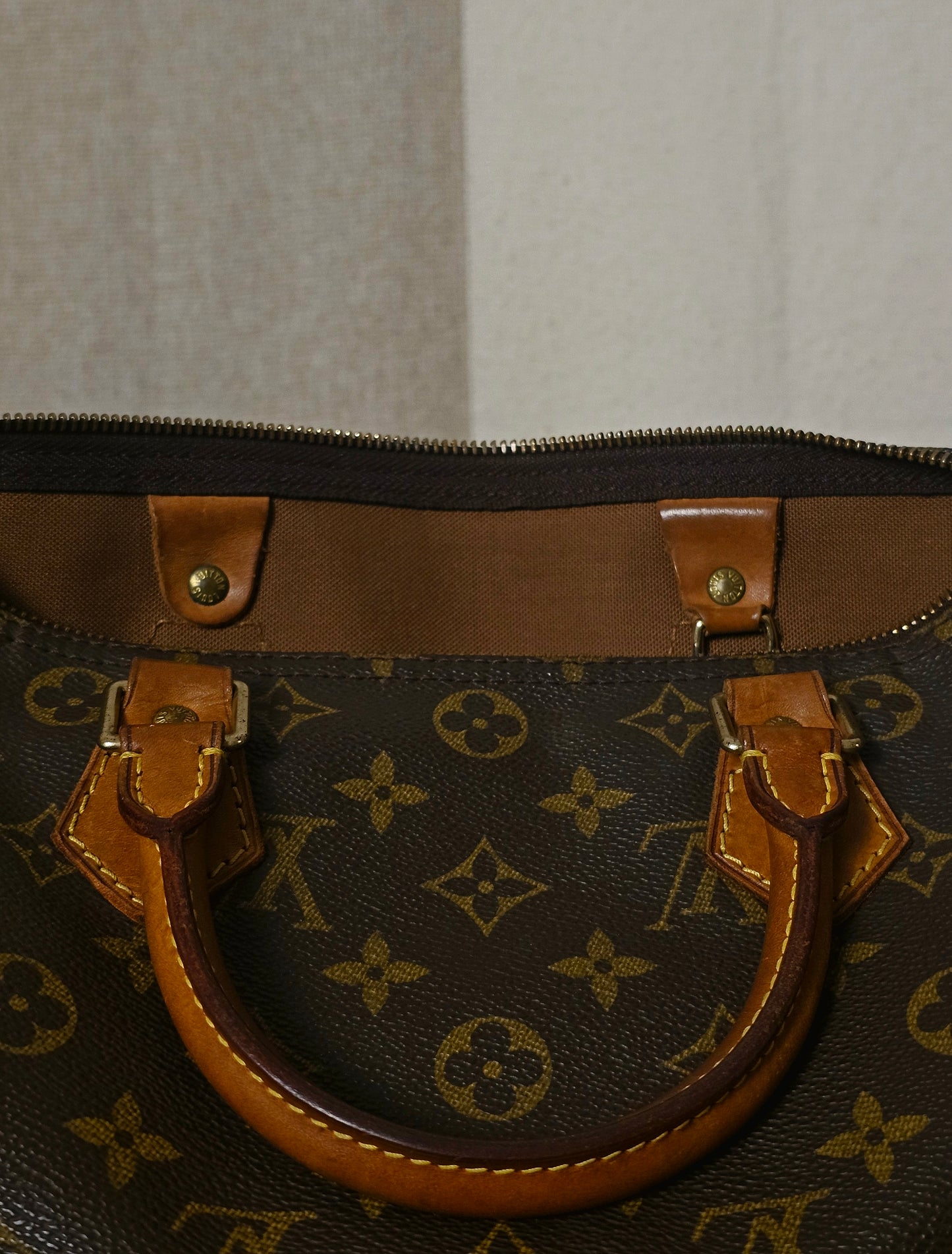 Louis Vuitton Speedy 30 Monogram
